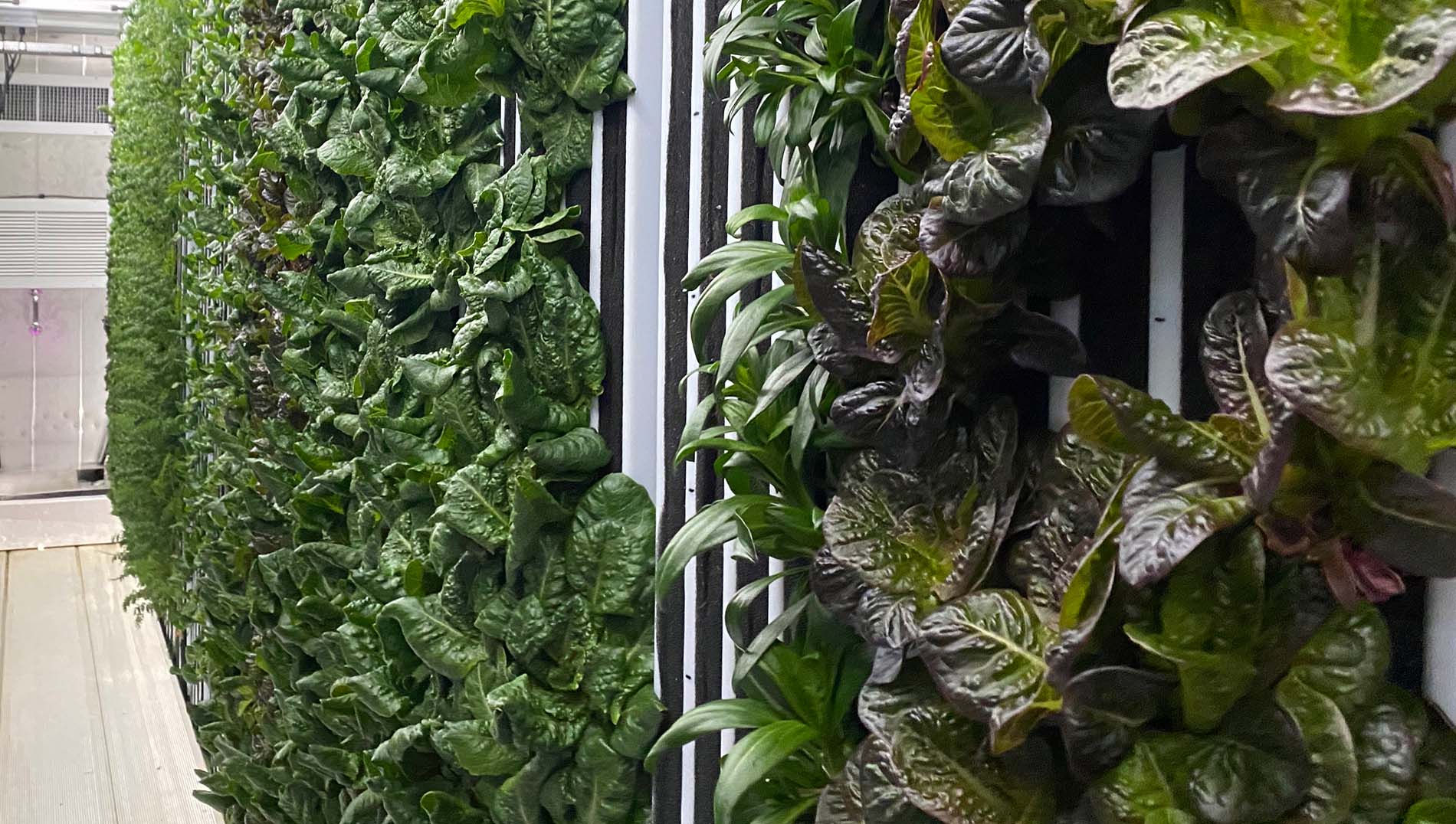 Nanue's Farm exterior